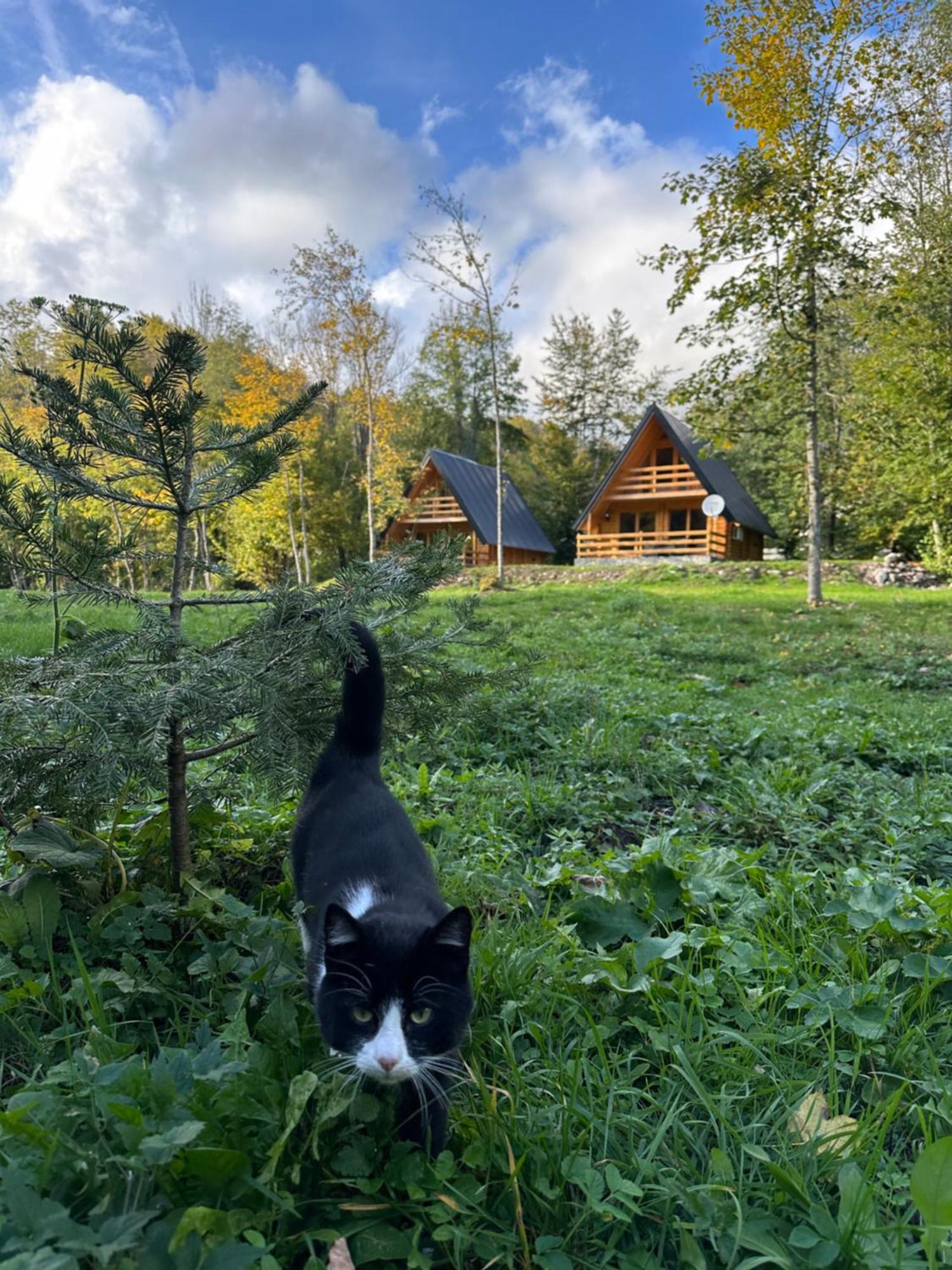 Ethno Village Long Story Kolašin Esterno foto